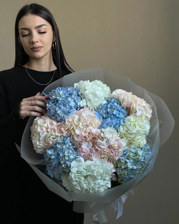 Небесный градиент