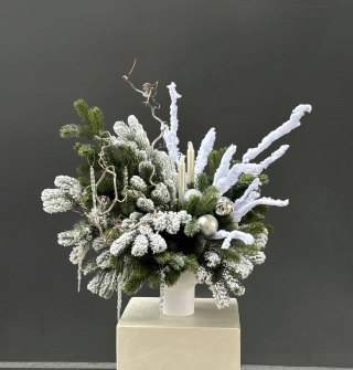 Северное сияние 