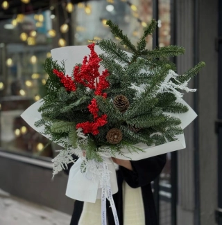 Северное свечение 