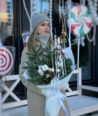 Снежная фея 