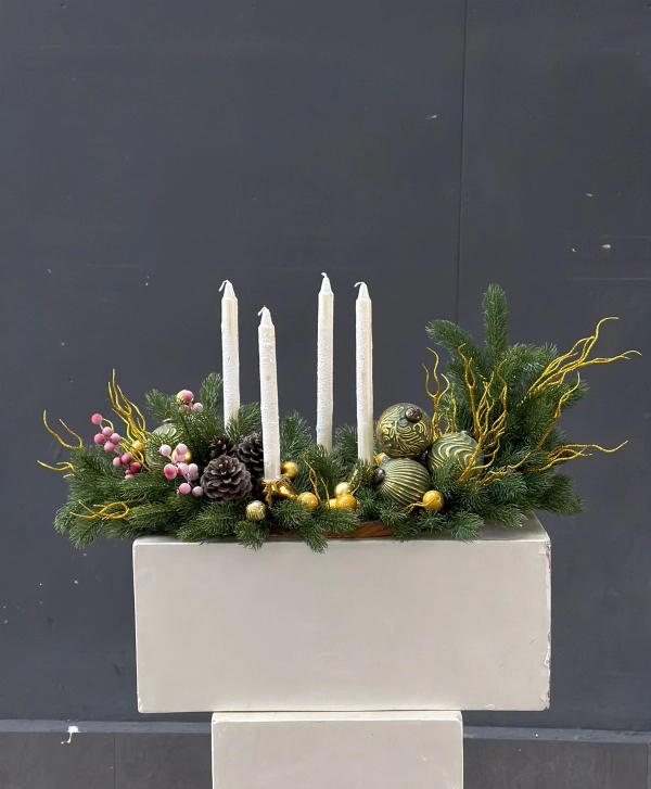 Аристократия зимы 