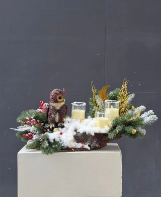 Сова зимнего света