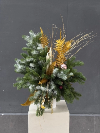 Сияние года 