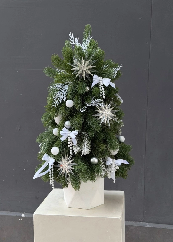 Мгновение зимы 