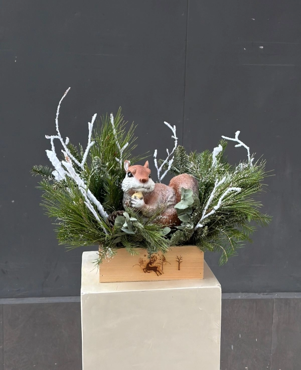 Белка под снегом 