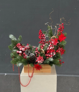 Холодный рассвет