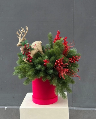 Полярная тишина