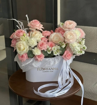 Пудровая гармония 