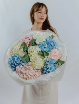 Bloom Classic